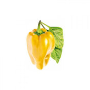 Click and Grow Pimento-Amarelo